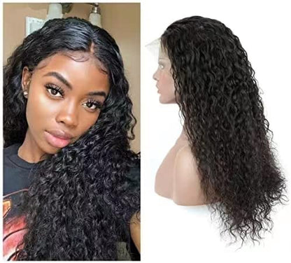 13x4 hd Lace Front Wigs Human Hair Pre Plucked 180 Density Brazilian Wet and Wavy Human Hair Wigs for Black Women Curly Lace Frontal Wig Natural Color Glueless (16 Inch)